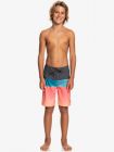 Quiksilver Kids Μαγιο Everyday Panel Yth 17